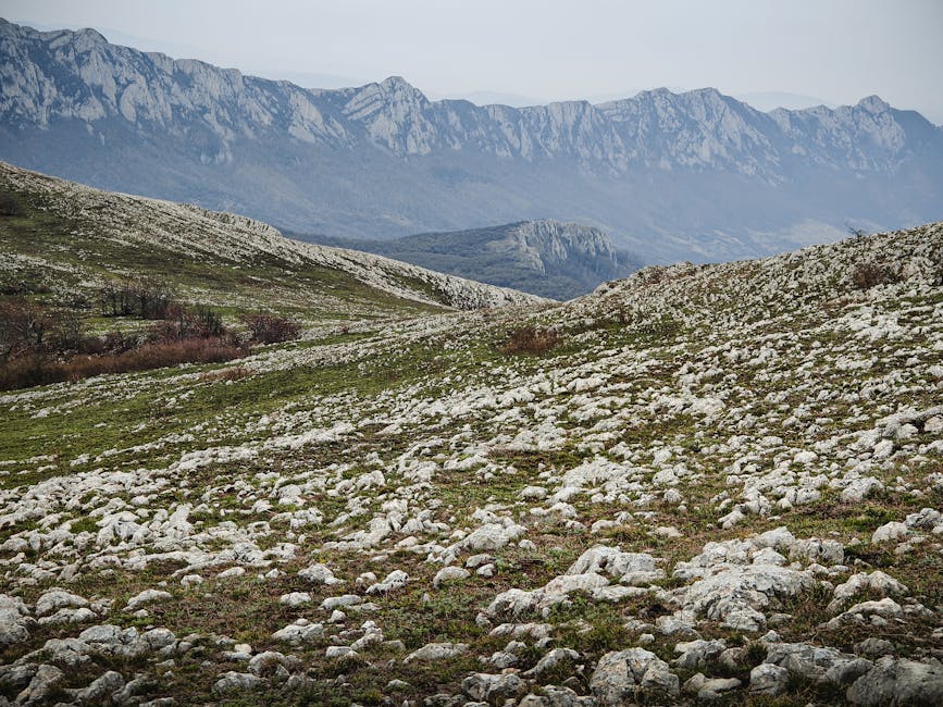 Stara planina leti i zimi: vodič, staze, smeštaj i cene